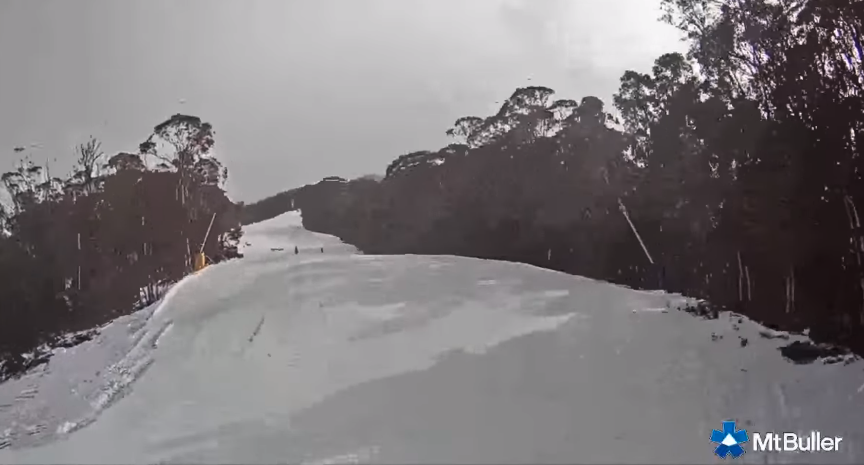 AUSTRALIA Terremoto sorprende sciatori in pista (video) Dove Sciare AUSTRALIA Terremoto sorprende sciatori in pista (video) Dove Sciare